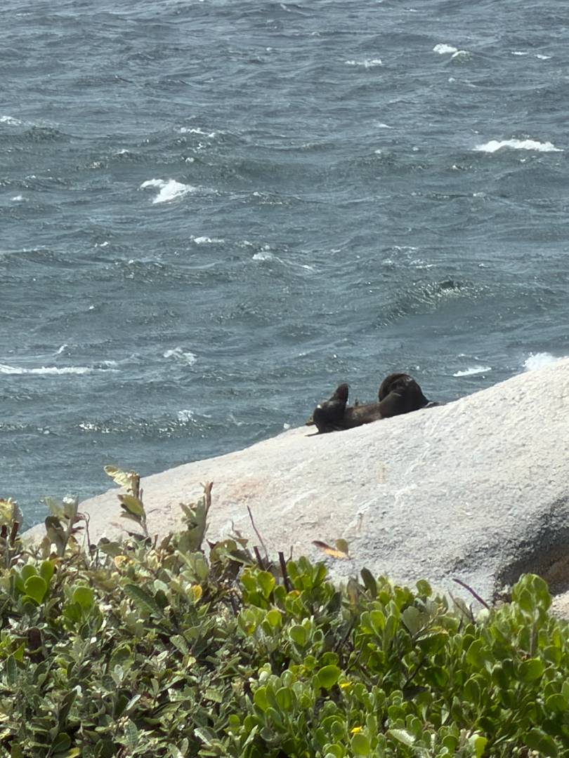 To Let 3 Bedroom Property for Rent in Welcome Glen Western Cape